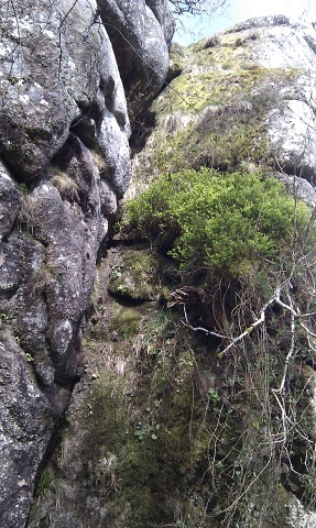 Ash Chimney (VD), Bench Tor. Yes, it's as nice as it looks
