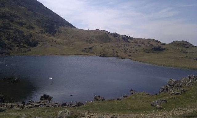 Llyn y Cwn